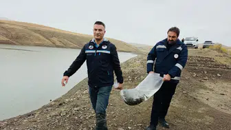 Van’da balıklandırma çalışması: 8 Gölete 700 bin sazan yavrusu bırakıldı