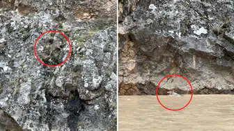 Erzincan'da Belgeselleri Aratmayan Görüntüler! 3 Kurtun Yaban Keçilerini Kovaladığı Anlar Kamerada