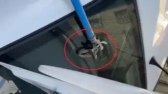 Diyarbakır'da otomobilin bagajına yılan girdi
