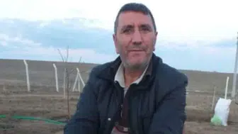 Aksaray'da feci kaza: Kesilen ağacın altında kalan 6 çocuk babası yaşamını yitirdi