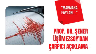 Şener Üşümezsoy'dan Marmara depremi açıklaması: “Kuzey Marmara'da kırılmamış fay yok”