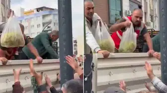 Manisa'da üzüm üreticilerinden fiyat protestosu: Bir tır üzüm vatandaşlara dağıtıldı