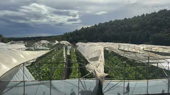 Antalya'da sel felaketi: 26 ev ve 1450 dönüm sera zarar gördü
