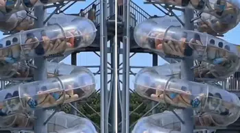 Çin’de su kaydırağında arıza kabusu: Ziyaretçiler mahsur kaldı