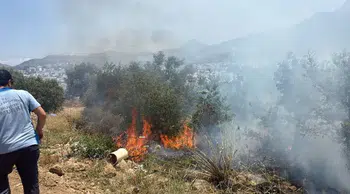 Bodrum'da yangın: Maki yangınında 1 dekar alan zarar gördü