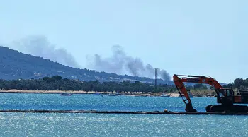 Balıkesir'de yangın: Yangın makilik alanda başladı