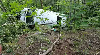 Ordu'da kontrolden çıkan minibüs şarampole devrildi: 11 kişi yaralandı