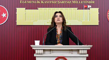 DEM Partili Koçyiğit'ten 12. Yargı Paketi eleştirisi: "Beklentileri karşılamıyor"