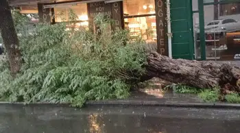 Kars'ta sağanak ve fırtına hayatı olumsuz etkiledi