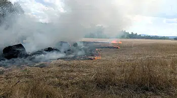 Karabük'de anız yangını: İtfaiye ve orman ekipleri müdahale etti
