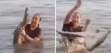 Meksika'da timsah kabusu: Kütük sandığı timsahı eline aldı!