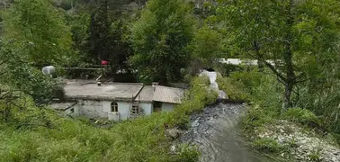 Antalya’da domuz avı faciası: 1 kişi hayatını kaybetti