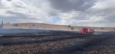 Çorum'da anız yangını: Arı kovanları zarar gördü