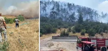 Balıkesir'de 3 ayrı noktada orman yangını çıktı