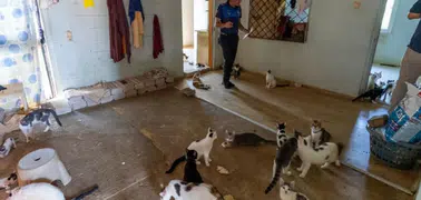 Kokunun nedeni çöp değildi! Ekipler eve girince şoke oldu