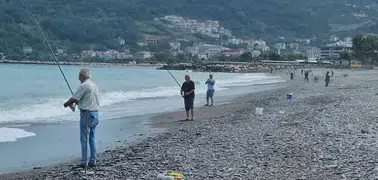 Karadeniz'de balık bolluğu yaşanıyor: Oltasını kapan sahile koştu
