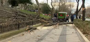 İstanbul’da sağanak yağış: Ağaçlar devrildi, rögarlar taştı