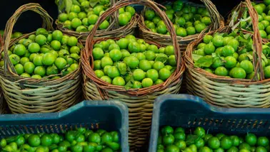 Yeşil eriğin tane fiyatı 'yok artık' dedirtti