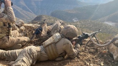 Bakanlık  duyurdu... 2 ilde 755 personelle 'Gabar'a dev operasyon