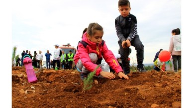 Marmaris'te yanan ormanlık alana 5 bin fidan daha dikildi