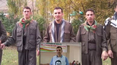 Polise hakaret edip tokat yiyen HDP’li il başkanı,  PKK’nın dağ kadrosundan çıktı!