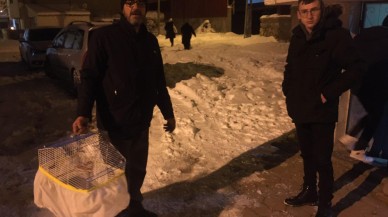 Erzurum'da korkutan deprem