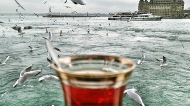 Yüzde 43 zam geldi!