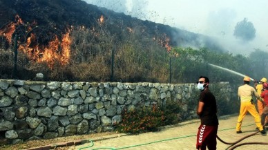 Bodrum'da yine yangın çıktı. Evlere geliyor