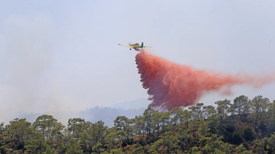 Fethiye'de orman yangını