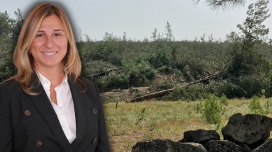 Akbelen Ormanı'nı kesen şirketin sahibi Ebru Özdemir bakın hangi vakfın yöneticisi çıktı