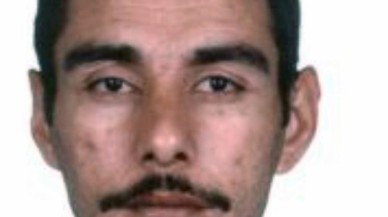 Yalova'da ağaçtan düşen müezzin Salih Kaya öldü