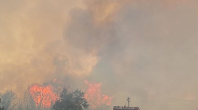 Çanakkale'de yine yangın çıktı. Bu kez de Biga yanıyor
