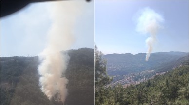Alanya'da orman yangını çıktı