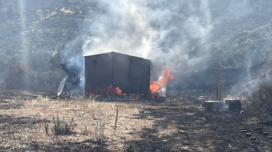 Hatay'da zeytinlik ve ormanlık alanda yangın çıktı