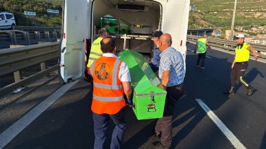 Kocaeli'nde akıl almaz olay. Ambulanstan atlayan İlayda Turhan öldü