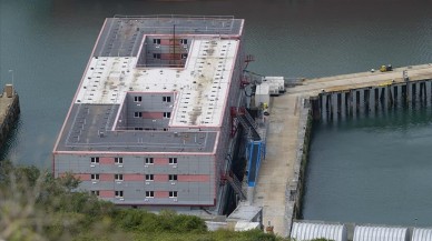 İngiltere göçmenleri göçtüklerine pişman etti: Hayvanlardan kötü muamele görüyoruz