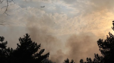 Akseki'de orman yangını