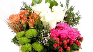 Terazi Burcuna Alınabilecek En İyi Hediyeler Denge ve Zarafet İle Dolu Anılar