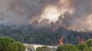 İzmir’de korkutan yangın. Ekipler alarma geçti