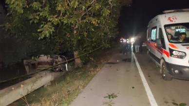 Bursa'da domuza çarpan araç devrildi: Recai Ekin ve Bedrettin Çelebi öldü