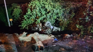 Adana'da köpeğe çarpan otomobil takla attı: Mustafa Açık öldü. Fatih Çündü ve Emre Çündü yaralandı