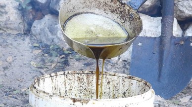 Doğada kendiliğinden oluyor. Toplanıp kazanlarda kaynatılıyor. Litresi 200 liradan satılıyor