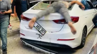 Şok görüntü! Arka camdan içeri girdi