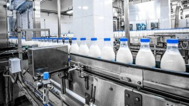 İflas eden şirketlere bir yenisi daha eklendi! Ünlü süt markası konkordato ilan etti