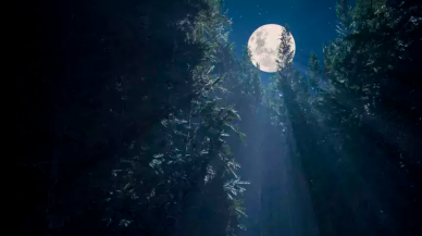 Ülkemizde en uzun ve en kısa gece hangi illerimizde yaşanacak? İşte detaylar