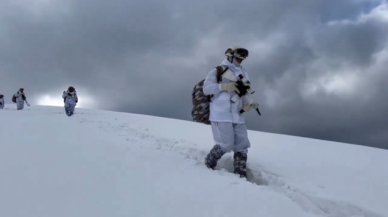 7 ilde terör örgütüne  ağır darbe!