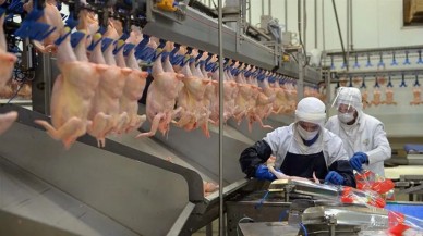 Ticaret Bakanlığı,  beyaz et fiyatlarındaki artış sonrası harekete geçti