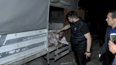İstanbul'da at eti baskını: Kilolarca at eti bulundu 3 hayvan kurtarıldı!
