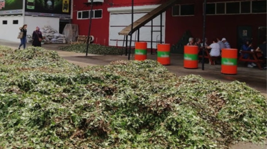 Ekonomik kriz 30 yıllık dev markayı da vurdu: Ünlü çay markası konkordato ilan etti!