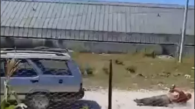 Antalya'da dehşete düşüren olay! Komşusunu iple aracın arkasına bağlayıp sürükledi